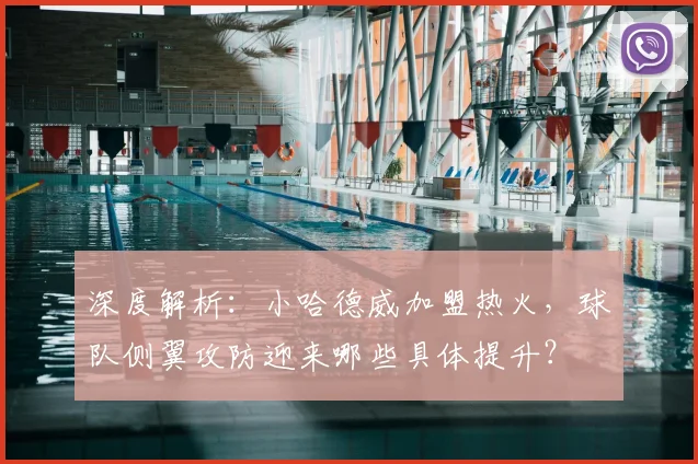 深度解析：小哈德威加盟热火，球队侧翼攻防迎来哪些具体提升？