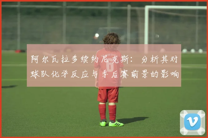 阿尔瓦拉多续约尼克斯:分析其对球队化学反应与季后赛前景的影响